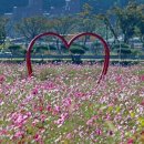 봉황11길 이미지