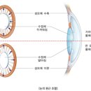 던안경원 방배본점 이미지