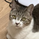 버르장머리미용실 - 부산진구 가야대로 560 | 버르장머리미용실