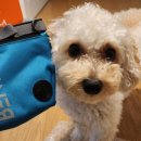 KNOLLO(놀로) 이미지