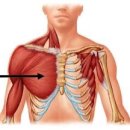 피트니스 오름 이미지