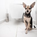 하나로동물약품 이미지