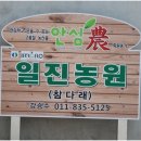 일진농원