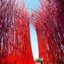 스트로마톨라이트 | ‘왕과 사는 남자’ 열풍 어디까지…단종 유배지 영월 여행 코스 총정리