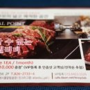 단홍 이미지