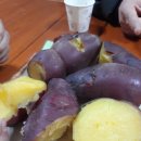 향림조경 이미지