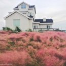 오즈의목장 이미지