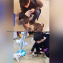 사랑이 넘치는 이미지