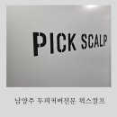 픽스칼프 이미지