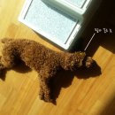 조은날약국 이미지