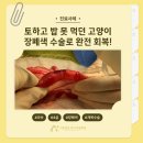 봄빛동물병원 | 철산동 동물병원 고양이 장폐색 수술 후기