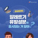 아모르화장품