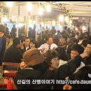 부산자갈치
