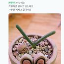 (주)아이엘티 | 이십오년도 이월드