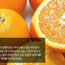 리2태권도장 이미지