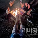 캠핑장작 태백골 참나무장작으로 불멍하고 왔어요