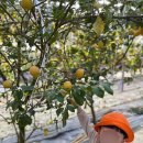 자연앤팜 이미지