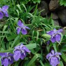 다봉마을 이미지