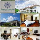 알프스대영CC 이미지