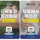 신신 이미지
