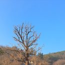 영천서원 이미지