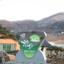 계룡산성화농원