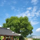 훈이네목장 이미지