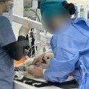 베를린 동물치과센터 | 강아지 스케일링, 발치 후기 송파 베를린동물치과센터