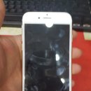 바디닥터달서 이미지