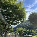 초록산등산로 | 경기도 캠핑 장소 추천 - 서운산자연휴양림에서 우중캠핑 즐기기