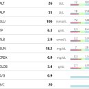 미사 센트럴 동물병원 이미지
