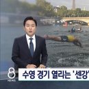 올림픽때 마라톤 수영 열린다는 파리 센강 수질 이미지