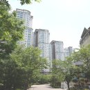 사평대로(남측) 이미지