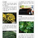 소국 삽화 이미지