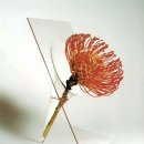 디자인듀오