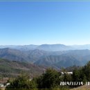 꿩대신닭 이미지