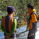 김영곤 농장 이미지