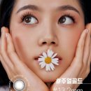 으뜸플러스안경 대구성서점 이미지