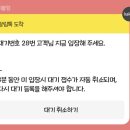 릴리마를렌 티스토리
