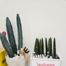 봄컬러 가득한 부천네일샵 [Nail샵89] 이달의아트와 꼼꼼한 케어 후기