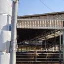 연정2리 이미지