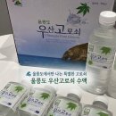 이상한 식물나라 | [고로쇠 수액 🌿 추천] 🌊 울릉도 특산 식물 우산고로쇠 나무 추출, 우산고로쇠 수액 후기❗️(500ml 💧)