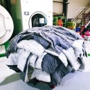 깨끗한나라세탁 이미지