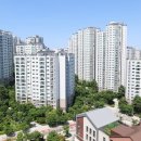 은마아파트 1005만원, 마래푸 416만원…보유세 대폭 오른다 이미지