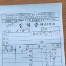 6월20일(금)[13일차) 3동 1열, 4동수지절반솎기, 공판(중앙) 12일차, 물주기, 블루베리 가격 이미지