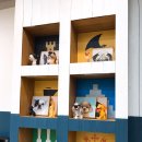 어도러블독 이미지