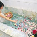 허브이야기 이미지