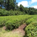 회수동-1 이미지