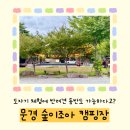 숲이조아캠핑장 | 여름 가족 캠핑장 추천 문경 숲이조아 캠핑장 내돈내산 후기
