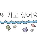 제주 필 하우스 이미지